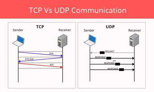 TCP-UDP